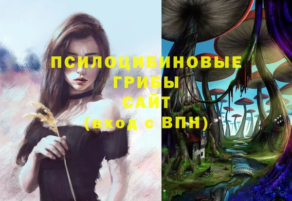 марки nbome Алзамай