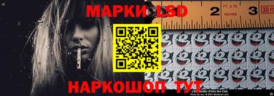 spice Обнинск