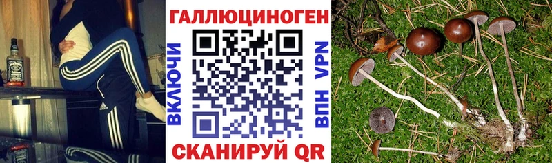 Псилоцибиновые грибы MAGIC MUSHROOMS  продажа наркотиков  MEGA сайт  Сосновоборск 