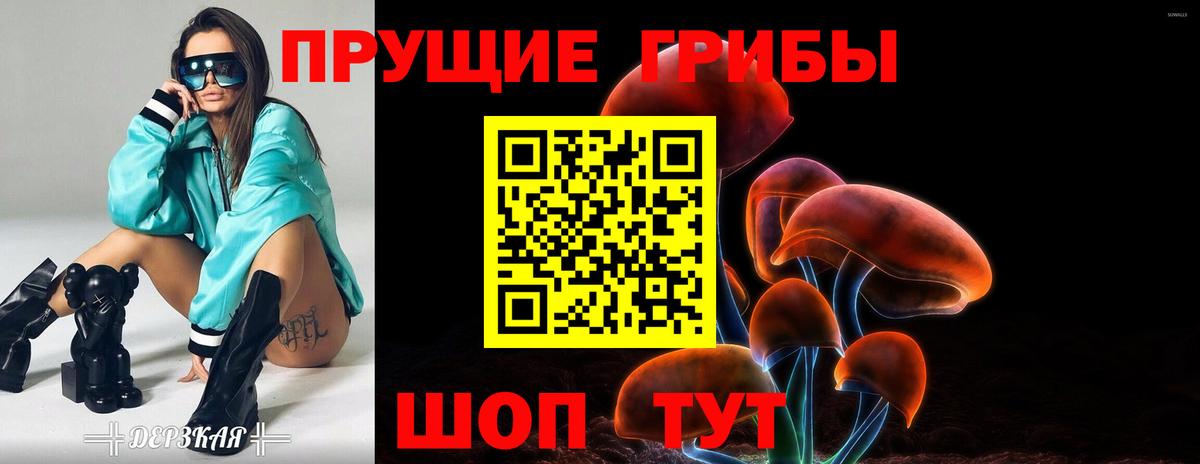 Галлюциногенные грибы Cubensis Сосновоборск